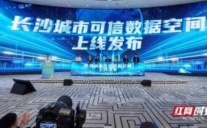 湖南首个城市可信数据空间上线，数据流通将如网购般安全便捷高效