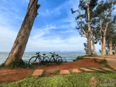 “綠道+”引擎驅動 滇池文旅新篇：品質升級繪就生態人文新畫卷