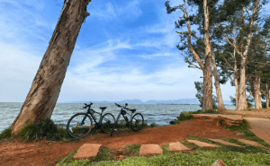 “绿道+”引擎驱动 滇池文旅新篇：品质升级绘就生态人文新画卷