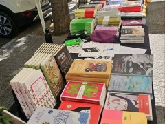 玫瑰邂逅書香：第五屆世界華人作家筆會巴塞羅那浪漫啟幕 共筑文學圣殿