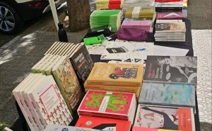 玫瑰邂逅书香：第五届世界华人作家笔会巴塞罗那浪漫启幕 共筑文学圣殿