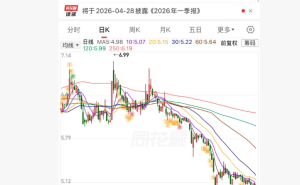 黑芝麻开盘一字跌停 涉嫌信披违规公司及时任董事长遭立案调查