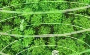 湖南黄金一季度业绩亮眼 董事长退休换届 ESG投入彰显责任担当