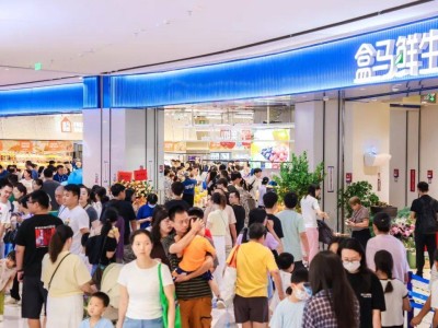 盒马大区制：以组织变革为笔，绘就新零售效能跃升新蓝图