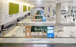 微信生态里罗莱的“慢热”哲学：以社交为笔，绘就家纺巨头的长期增长图景