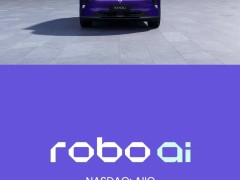 極越汽車邁入司法重整階段 中東科技企業或成“接盤俠”助力重生