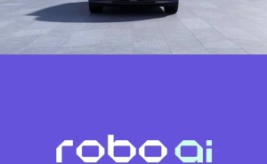 極越汽車邁入司法重整階段 中東科技企業或成“接盤俠”助力重生