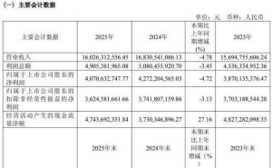 公牛集团2025年业绩承压，智能与新能源双核驱动未来增长