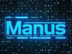 Manus案折射AI时代：技术主权博弈下中国创业者如何寻生存新路径