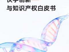快手2026：以技术创新为引擎，产业应用为纽带，知识产权为盾牌构建创新生态