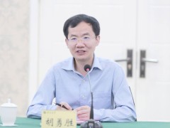 中國PNE鈉離子電池突破：安全性能媲美磷酸鐵鋰，量產在即或改寫新能源格局