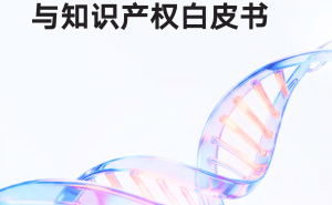 快手以双螺旋架构驱动创新：AI技术落地与知识产权保障共促数字经济活力