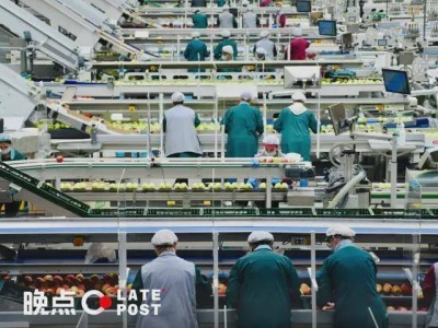 京喜自营破局低价内卷：以信任为基，搭建消费者与工厂共赢桥梁