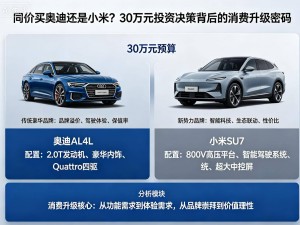 30萬預算選車：奧迪與小米之爭，折射消費價值觀與時代新走向