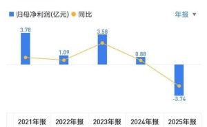 卫宁健康五年首亏,外籍总裁王涛年薪213万超董事长引关注