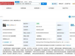 王石職務變動：卸任啟城綠色科技集團董事長 徐洪舸接任