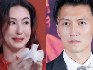 离婚13载后张柏芝三胎生父引猜测，与谢霆锋互动，成娱乐圈相处典范