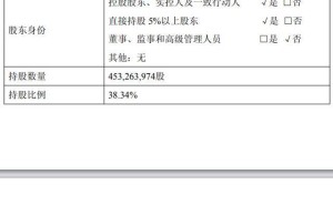 “中国硅王”罗立国控股公司拟减持合盛硅业股份 或套现超15亿市值缩水超八成