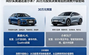 30万预算选车:奥迪与小米之争,折射消费价值观与行业新变局