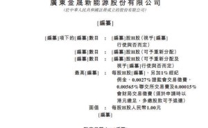 金晟新能源冲刺IPO：毛利率由负转正 副董事长李鑫与总经理李森为兄弟且涨薪