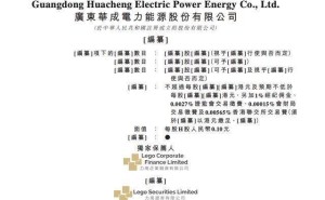 华成电力35岁海归硕士CEO任舒宁：父子携手领航，薪酬低于两位副总