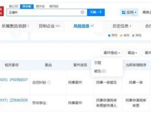王健林再陷债务风波：名下超4.9亿股权冻结 曾被限制高消费