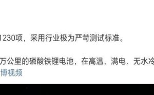 雷军发布小米汽车电池极限测试视频:1230项严苛测试保安全