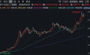 11家A股公司受密集调研，半导体板块火热背后多家明星公司股东拟减持