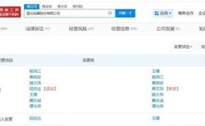 国光电器高层变动：陆宏达卸任董事长 王婕接任新职