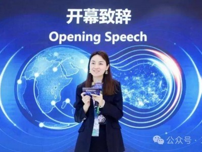 从颠覆者到“四不像”：严筱磊治下，盒马在数字迷宫中失了方向？