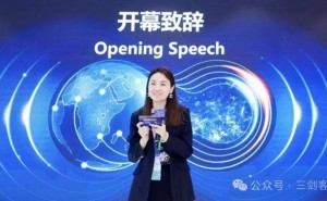 从颠覆者到“四不像”：严筱磊治下，盒马在数字迷宫中失了方向？