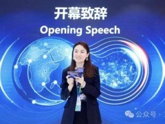从颠覆者到“四不像”：严筱磊治下，盒马在数字迷宫中失了方向？
