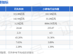 石头科技5月26日股价下跌2.5% 主力资金净流出超亿元 游资散户资金呈净流入
