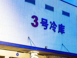 华泰宝湾物流REIT公告：宝湾物流董事长吕峰因个人原因辞任
