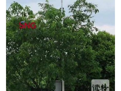 “中东第一网红”阿波哥深圳坪山行:探“智造”奥秘,感无人驾驶魅力