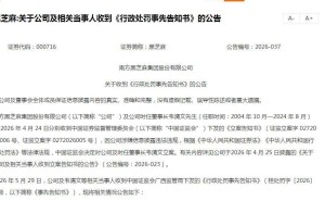 黑芝麻信披违规遭重罚:时任董事长韦清文领罚500万,关联方资金占用余波未平