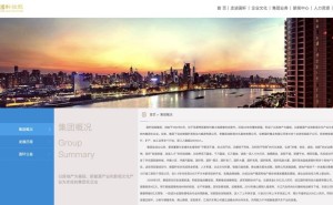 川恒股份子公司减资1.6亿：安徽前首富李缜旗下国轩控股战略调整放弃出资