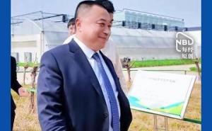 养猪龙头牧原股份高层变动：创始人退居荣誉董事长，“90后”高曈接棒总裁之位