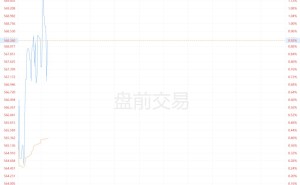 美股异动丨西部数据盘前涨超1% 获多家大行上调目标价