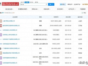 粉笔CEO张小龙讲座风波引关注 其名下关联多家存续企业引盘查