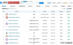 粉笔CEO张小龙讲座风波引关注 其名下关联多家存续企业引盘查