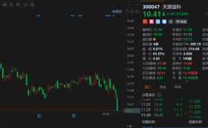 A股异动丨天源迪科大跌11%刷新年内新低 董事长拟减持不超0.6272%股份