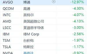 美股AI芯片股盘前集体下挫:博通大跌近13%,高通、AMD、英特尔跌超4%