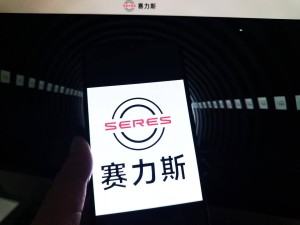 赛力斯汽车高层变动：张兴海卸任董事长，张正萍接棒引领新能源新征程