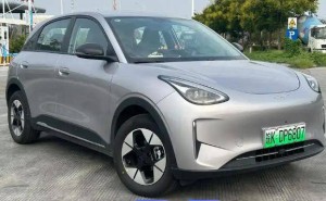 5月汽车销量榜燃油车“失守” 吉利星愿凭实力成纯电代步新宠