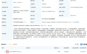 长信科技持股公司在青海成立智算科技公司