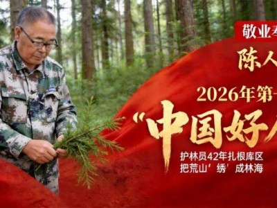淅川护林员陈人范：42年坚守水源地，用一生筑牢生态屏障荣膺“中国好人”