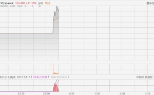 SpaceX大涨25%，市值超2.2万亿美元，位居美股第6