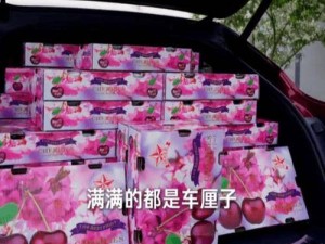 雷军小米YU7 GT装车厘子引争议 回应称在封闭测试场分装无违规