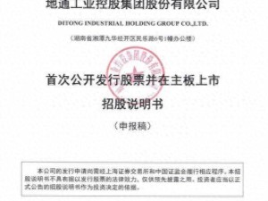 地通控股IPO进展引关注 副董事长许蓓蓓年薪超董事长余德友